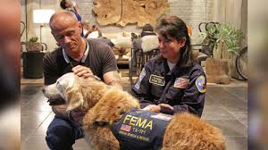 For foster families, the experience provides a unique opportunity to learn about and be exposed to dogs of different breeds, sizes, temperaments, routines, etc. Last Known Living 9 11 Search And Rescue Dog Honored In New York City Abc News