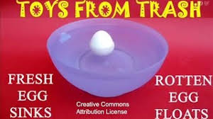 fresh egg sinks, rotten egg floats