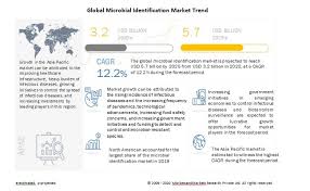 Give light colors a modern treatment with a glowing, holographic gradient of its analogous sisters: Microbial Identification Market Global Forecast To 2025 Marketsandmarkets