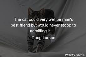 Cat sitting service, caring for your cat when you cannot be there, in portsmouth po1 to po5. Cat Quotes Page 5