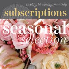 Toronto Flower Subscriptions Seasonal Floral Arrangements Sweetpea S