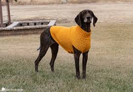 Hopefully these tips (and a mini ravelry tutorial) can help! Dandy Dog Sweater Easy Crochet Dog Sweater Pattern