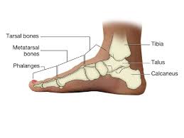 If open fracture choose from following types of open fractures a. Fracture Coding Cm And Pcs