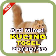 Ternyata mimpi kucing mempunyai tafsir yang mengejutkan! Arti Mimpi Kucing Togel 2d 3d 4d Edisi Terlengkap 2 2 ä¸‹è½½android Apk Aptoide