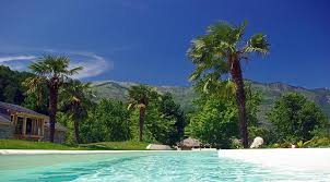 We offer general pest services to include monthly, semi monthly and quarterly. Good Landscape Plants To Use Near Pools Lovetoknow