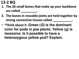 The cost to craft backbone is 5 malleable flesh, 1 pallid bone, and 750 anima. 13 2 Bq The 26 Small Bones That Make Up Your Backbone Are Called Think About It Green G Is The Dominant Color For Pods In Pea Plants Yellow Ppt Download