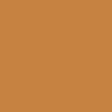 168 Amber Paint Color