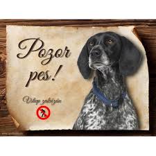 Image result for auvergneský ohař