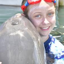 Easy winter Wedding decoration I made a beautiful winter wedding table  decoration perfect for christmas. I hope this inspired you to make your own.