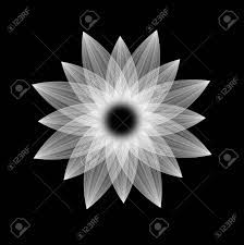 Visualizza altre idee su disegni, disegno fiori, bianco e nero. Immagini Stock Questa E Una Astrazione Questo E Un Fiore Bianco E Nero Image 37235638