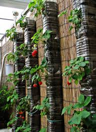 Check spelling or type a new query. 6 Ways You Can Grow Strawberries Vertically Step By Step Guides Seasonal Preferences