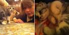 Taylor Swift And Ed Sheeran Slammed For Breeding Scottish ...