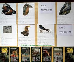 Add your own photos, features & descriptions. Second Grade Math Activities Make Your Own Card Game