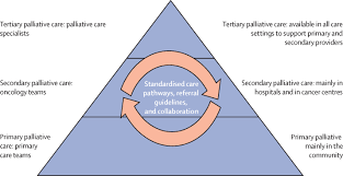 The base salary for oncology physician ranges from $210,363 to $302,605 with the average base salary of $252,281. Integration Of Oncology And Palliative Care A Lancet Oncology Commission The Lancet Oncology