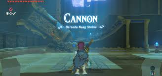 Maybe you would like to learn more about one of these? Bareeda Naag Shrine Guide Zelda Dungeon