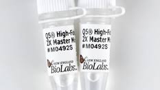 Interest akan ditarik lagi panjang, lebih banyak yang akan dibayar pada bank. Q5 Reaction Buffer Pack Neb