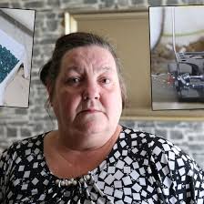 It was like a dolphin splashing up and down the toilet'