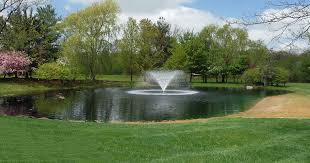 From middle english pond, ponde (pond, pool), probably from old english *pond, *pand (attested in placenames), a variant of pund (enclosure). The Pond Guy é¢†è‹±