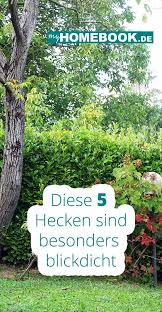 Blickdichte Hecke Welche Pflanzen Eignen Sich Myhomebook Sichtschutz Pflanzen Hecke Kreative Garten Ideen