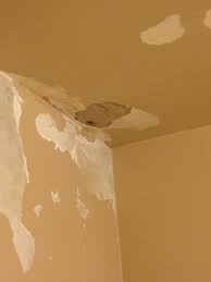 Begin by removing cracked paint and plaster that have been damaged by the water with the putty knife. Ceiling Repair Is This Rock Lath With Lime Plaster Water Damage Doityourself Com Community Forums