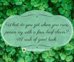 Related quotes march green spring alcohol history. St Patrick S Day Quotes On Celebrations Good Luck And Irish Beer Sayingimages Com