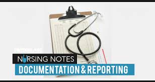 Documentation Reporting In Nursing Nurseslabs
