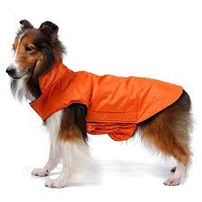 Thinkpet Outdoor Dog Raincoat Detailed Review Dog