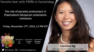 Terrie Taylor (@ttmalawi)