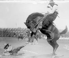 See more ideas about pendleton oregon, pendleton, oregon. Bronc Riders Trick Riders Ropers And Bull Riders All Make Up Part Of Cimarron Jack S Show Henry Warren Saddl Bronc Riding Saddle Bronc Riding Bull Riders