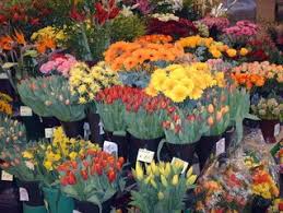 Try dragging an image to the search box. Free Bunch Of Flowers Images Pictures And Royalty Free Stock Photos Freeimages Com