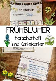 Fruhbluher Forscherheft Und Karteikarten Unterrichtsmaterial In Den Fachern Deutsch Sachunterricht Fruhbluher Grundschule Karteikarten Biologie Unterrichten