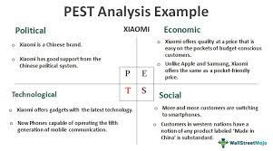There are a number of variations of pestle. Pest Analysis Definition Step By Step Example Xiaomi
