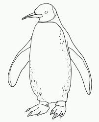 There are so many penguin coloring pages in this post. Free Printable Penguin Coloring Pages For Kids Penguin Coloring Pages Penguin Coloring Coloring Pages