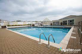 Beautiful dolphin in a blue swimming pool water on a clear sunny day. Blue Dolphin Holiday Park Haven The Indoor Pool At The Blue Dolphin Holiday Park Oyster Com Hotel Photos