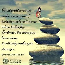 Stevenaitchison Timeline Photos Butterfly Quotes Caterpillar Quotes Wisdom Quotes