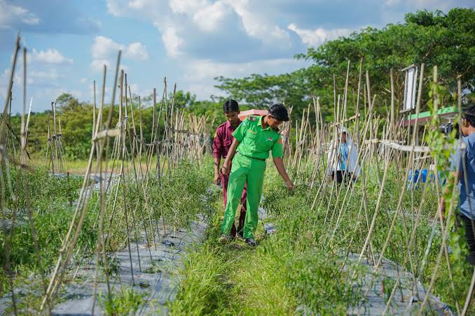 Lessons From East Kalimantan: A deep dive into Indonesia's just energy  transition - IISD