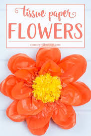Maybe you would like to learn more about one of these? Giant Tissue Paper Flowers Easy Paper Craft Diy