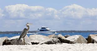 Quick & easy purchase process Why Visit St Andrews State Park Destin Vacation Blog