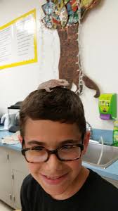 Spring Ridge (@SpringRidge1)