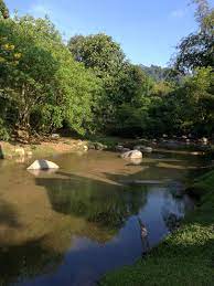 น้ำตกในมาเลเซีย sobre sungai tua recreational forest. Visit Sungai Tua Recreational Forest On Your Trip To Selangor