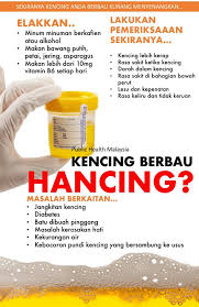 We did not find results for: Public Health Malaysia Share Kencing Berbau Hancing Sebahagian Besar Kompisisi Air Kencing Terdiri Daripada Air Bahan Kumuh Yang Disingkirkan Oleh Buah Pinggang Yang Mengandungi Ammonia Merupakan Punca Yang Menyebabkan Bau