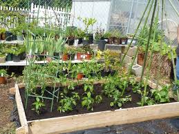 Using a simple wooden frame filled with compost, katie plants a variety of vegetables and herbs these raised planting beds are great for gardening in small spaces. Smart Plant Placement Get The Most Out Of Your Raised Bed Garden