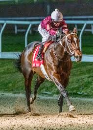 Jul 11, 2018 · well, whether small or big, you are assured of finding kitchen design ideas that will ensure your kitchen achieves that endearing look that you have always yearned for. Slideshow Meet The 2021 Preakness Stakes Contenders America S Best Racing