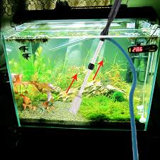 Untuk aquarium air tawar sendiri kepadatan ikan sebesar 10 cm ikan / 25 liter sedangkan untuk aquarium air laut sesuai dengan kebutuhan karena untuk filter dalam aquarium air tawar sendiri adalah dengan ukuran kecil dan biasanya menggunakan sistem treatment atau kapas sedangkan. Perlengkapan Binatang Peliharaan Pompa Pembersih Dan Penyedot Debu Dengan Baterai Untuk Aquarium Shopee Indonesia