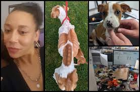 BACK IN TIME! A letter written in April 1941 by the Superintendent at  Clacton Police Station to a Mr.Loveless telling him because of war  conditions and the need for strict economy of