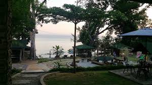 The footage is of umang umang (local indigenous word for hermit crabs). Umang Umang Chalet Beach Facebook