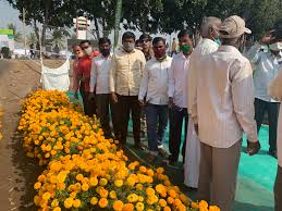 Check spelling or type a new query. Syngenta Flowers India Impresses Thousands Of Growers With New Marigold Hybrids Syngenta Flowers