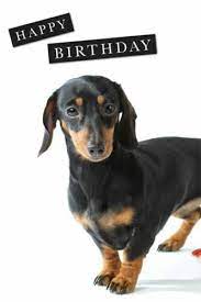 Birthday Dog Birthday Card Dachshund Birthday Cool Happy Birthday Images