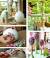 Diy Summer Crafts