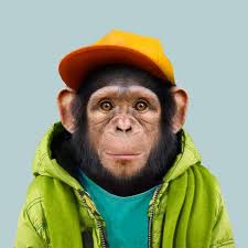 Melissa Schatz-Miller • NW Documentary